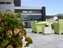 Quality Hotel Wellington Sun Deck