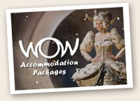 WOW Package